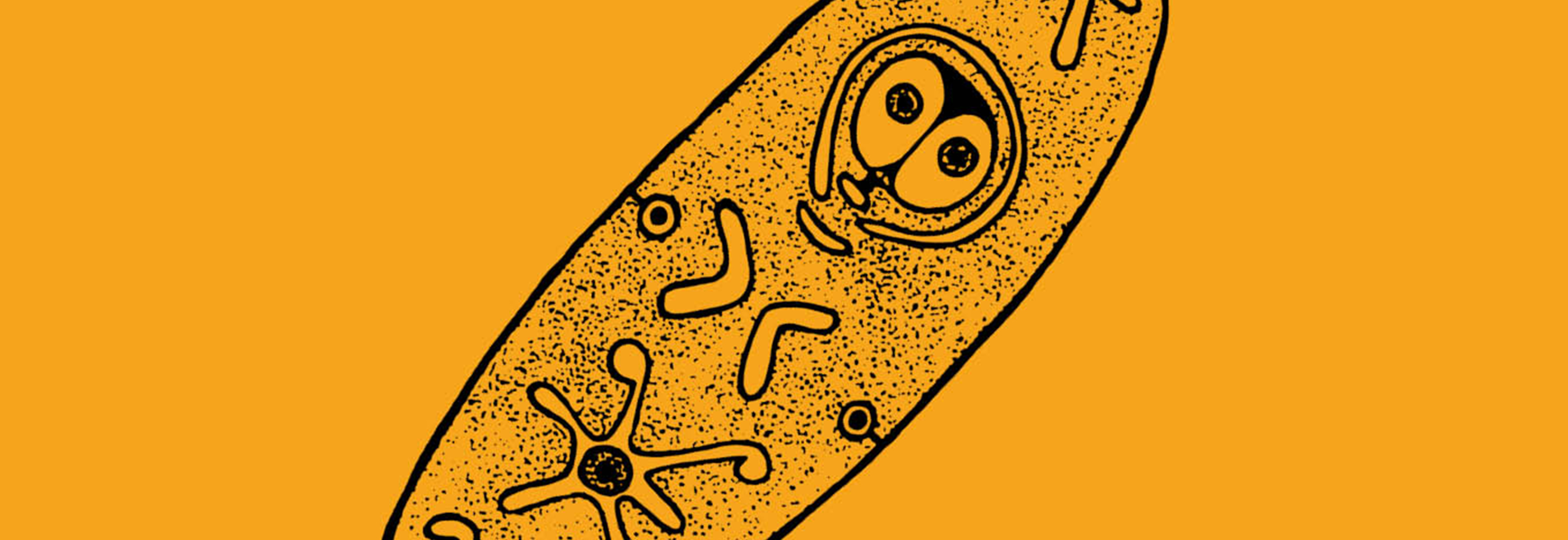 PASS-Website-Banner-4