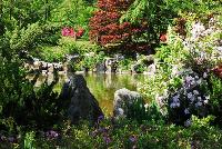 Korean Spring Garden near Hyeonchungsa