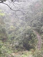 China - Emei Shan 8 - Steps up the mountain