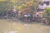 Residential huts supported by wooden stumps near the edge of a river