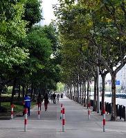 People walking in a street in Pudong, Shanghai