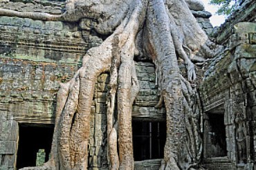 Angkor Wat