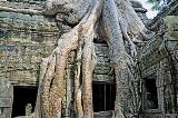 Angkor Wat