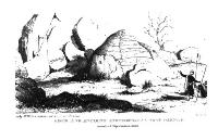 Sketch of rocks engraved with Ashokan edicts