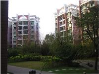 apartmentblockspudong