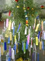 foundationjapan_tanabata