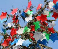 Japanese star decoration on a tree